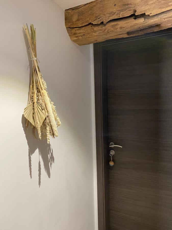 Le Clos Bleu - Gite Rural Schillersdorf エクステリア 写真