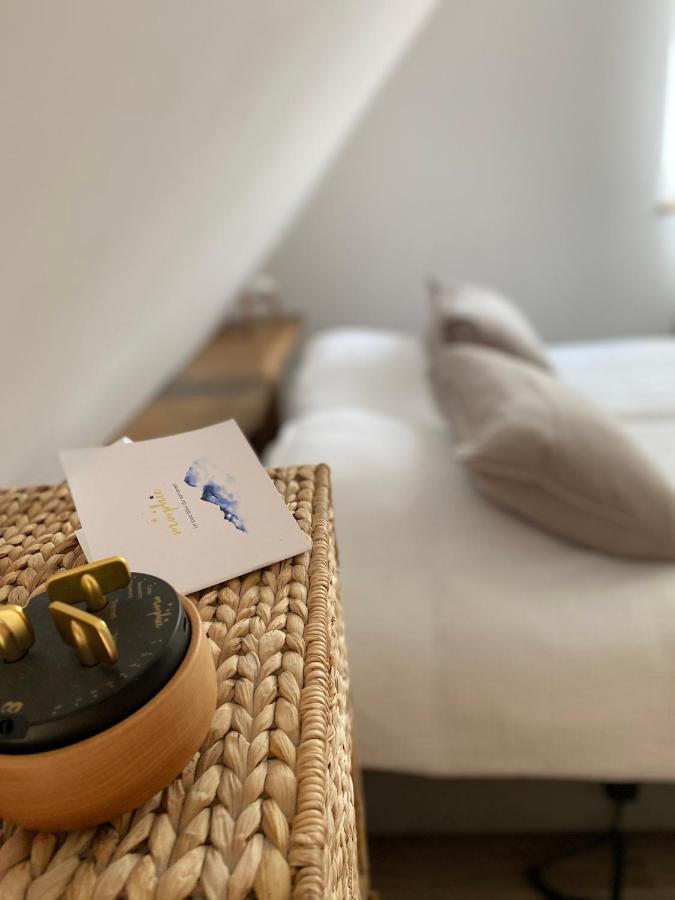 Le Clos Bleu - Gite Rural Schillersdorf エクステリア 写真