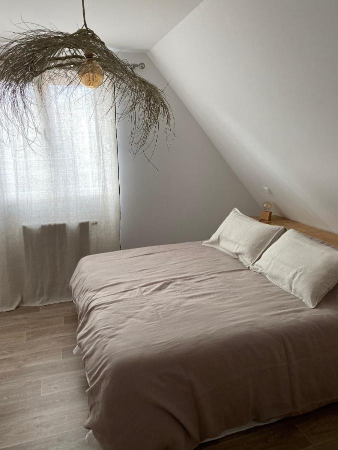 Le Clos Bleu - Gite Rural Schillersdorf エクステリア 写真