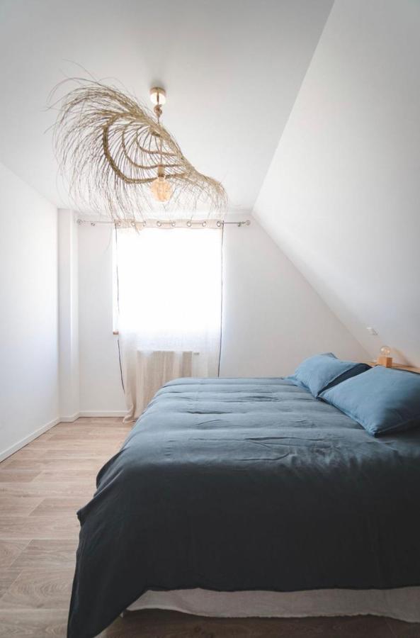 Le Clos Bleu - Gite Rural Schillersdorf エクステリア 写真