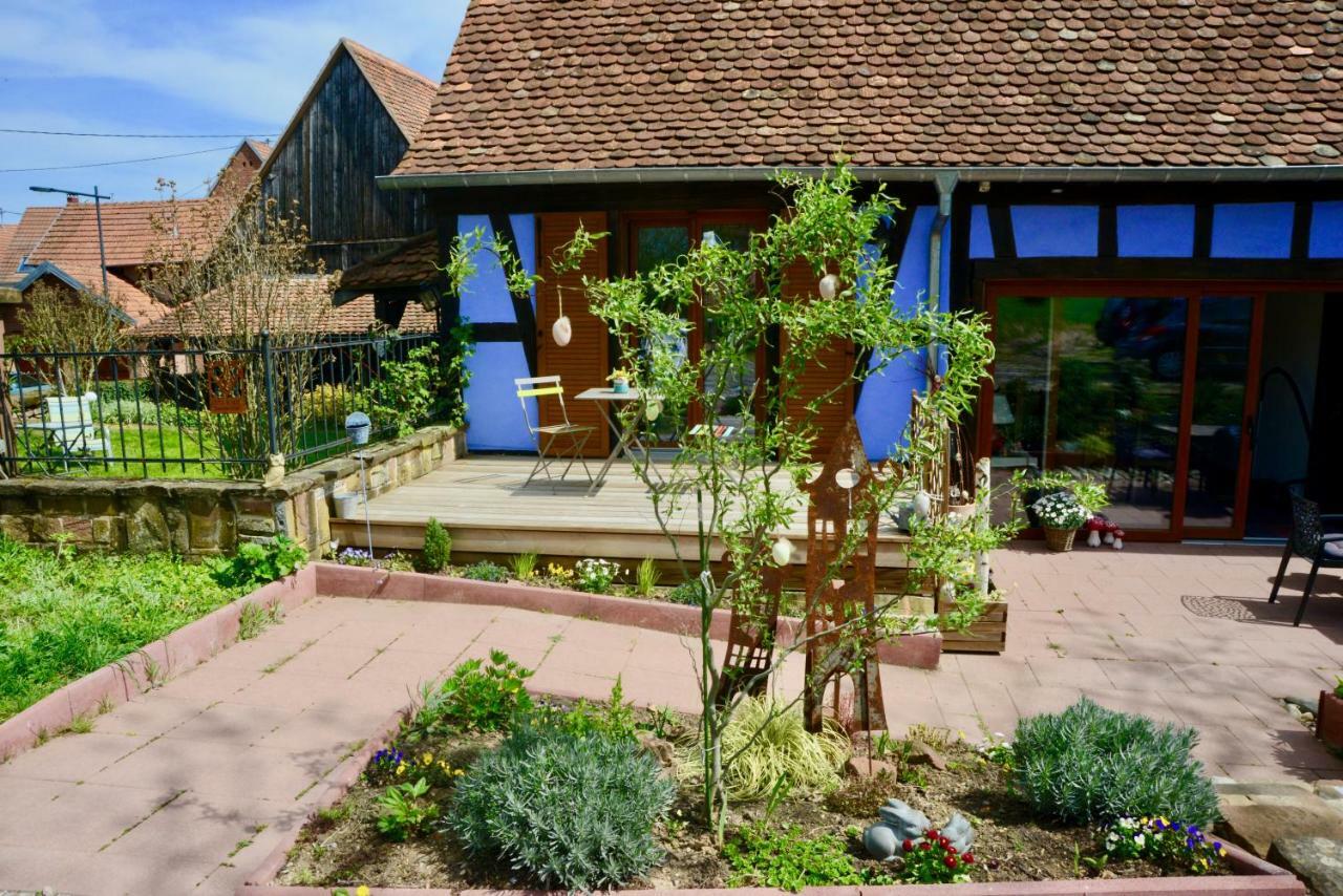Le Clos Bleu - Gite Rural Schillersdorf エクステリア 写真