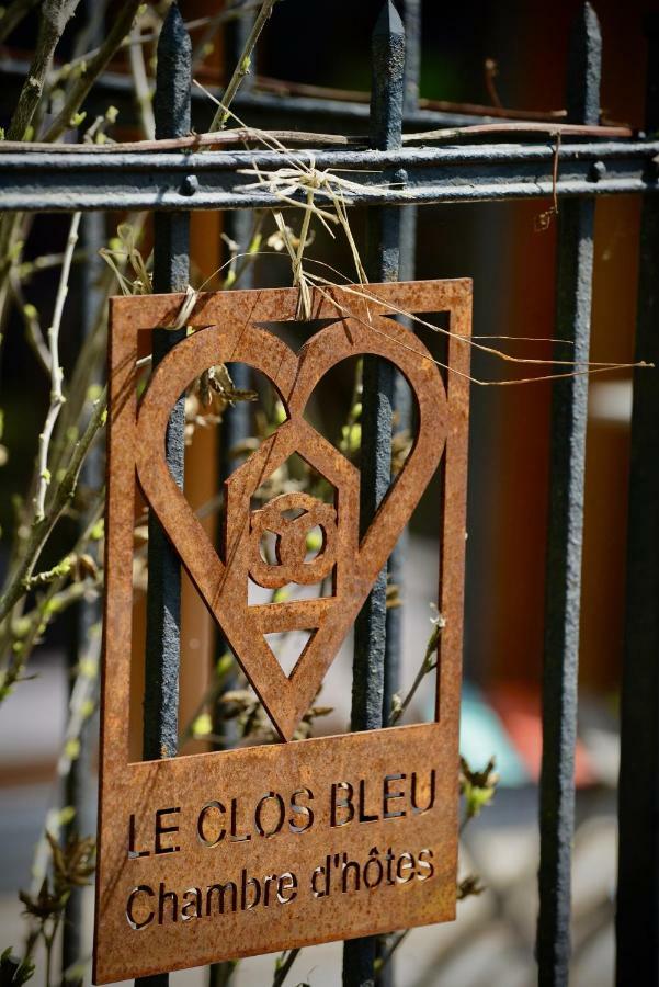 Le Clos Bleu - Gite Rural Schillersdorf エクステリア 写真